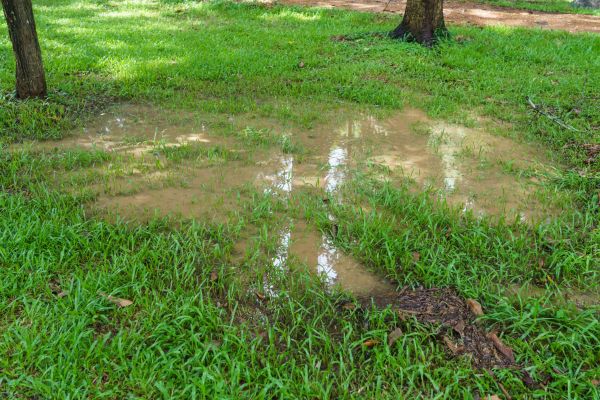 Cost of Storm Water Drainage Service in Anderson