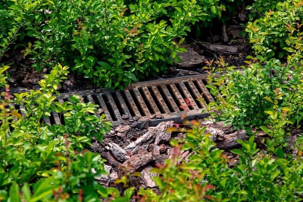 Cost of Underground Drainage Service in Anderson