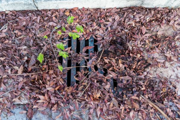 Cost of Yard Drain Unclogging in Anderson