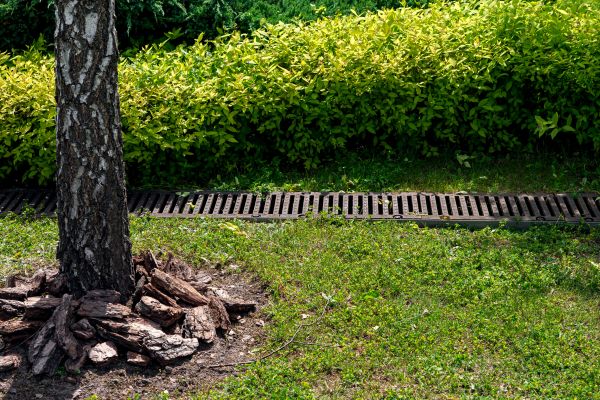 Cost of Wet Yard Drainage in Anderson