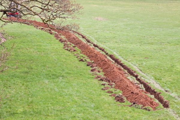 Cost of Swale Installation in Anderson