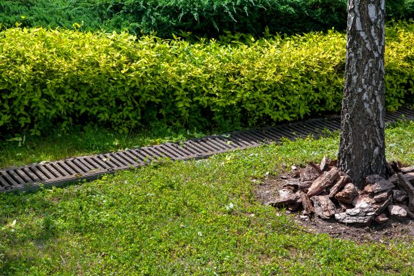Cost of Residential Landscape Drainage in Anderson