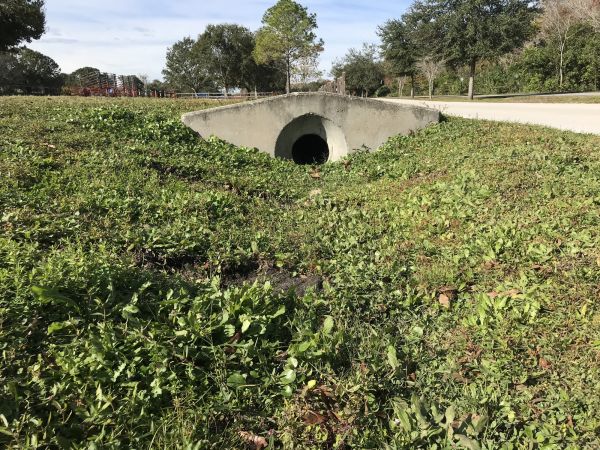 Cost of Swale Drainage Service in Anderson